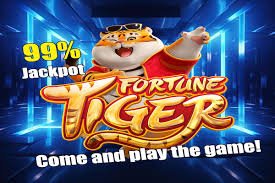 Evening weekend gaming routine on 5777 app for adult Bangladesh visitors